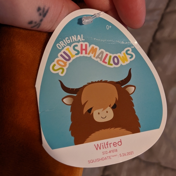 Highland cow squishmallow Wilfred - Picture 3 of 5